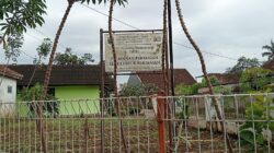 UPTD Penyediaan Benih Induk Pertanian Diduga Gelapkan Hasil Panen Padi