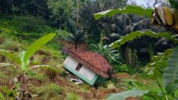 Belasan Rumah Terdampak Longsor di Campakamulya, Bupati Cianjur Kaji Relokasi