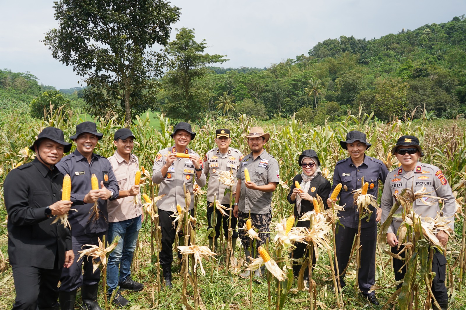 Teks: Kapolres Cianjur, pejabat utama Polres Cianjur, dan Forkopimda memanen jagung dalam program ketahanan pangan nasional di Cianjur.