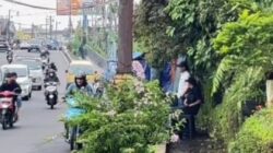 Transaksi Jual Beli Obat Terlarang di Trotoar Puncak Cianjur Viral, Polisi: Pengedar Siap Lebaran di Sel