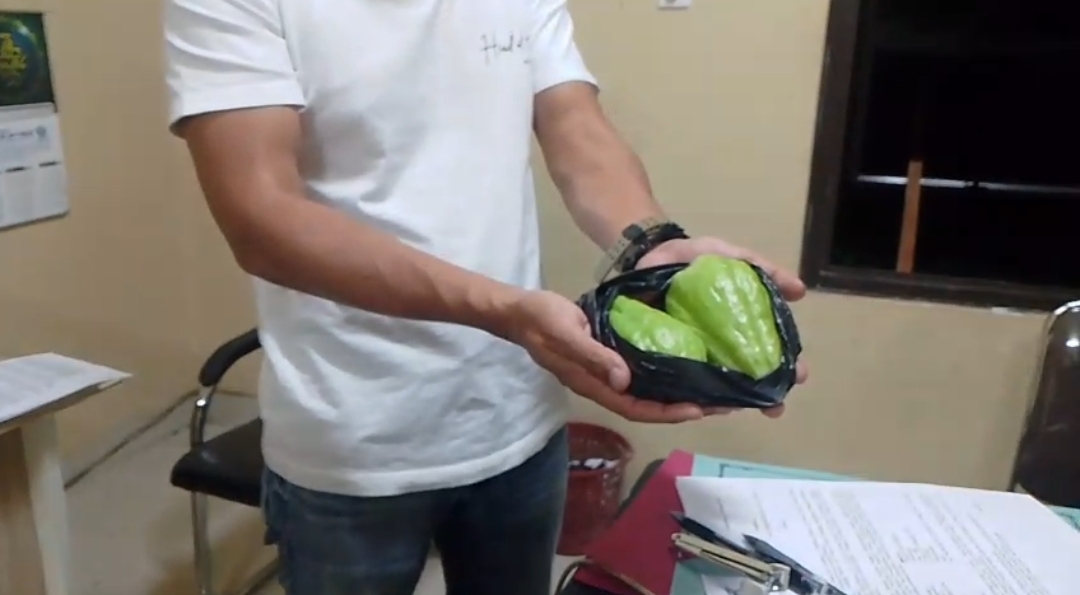 Teks: Dua buah labu siam dalam kantong plastik hitam sebagai barang bukti dugaan penganiayaan di Cugenang Cianjur.