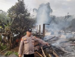 Kebakaran Kandang Ayam di Campaka, 16 Ribu Ekor Ayam Mati