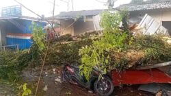 Hujan Disertai Angin Kencang, Pohon Tumbang Cugenang Tewaskan Satu Orang