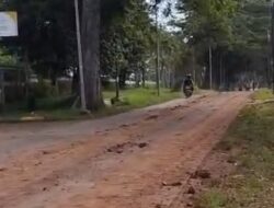 Jalan Licin Akibat Galian Tanah Bobojong, Camat Mande Instruksikan Penghentian