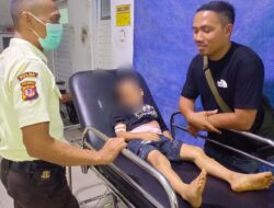 Monyet Liar Serang Anak di Desa Cimanggu Cibeber