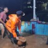 35 Rumah Terdampak Banjir Bandang di Jamali, Evakuasi Warga Dilakukan