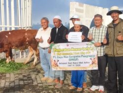 Momentum Idul Adha 1447 H, PT DMGP Serahkan Bantuan Hewan Kurban ke Tiga Desa