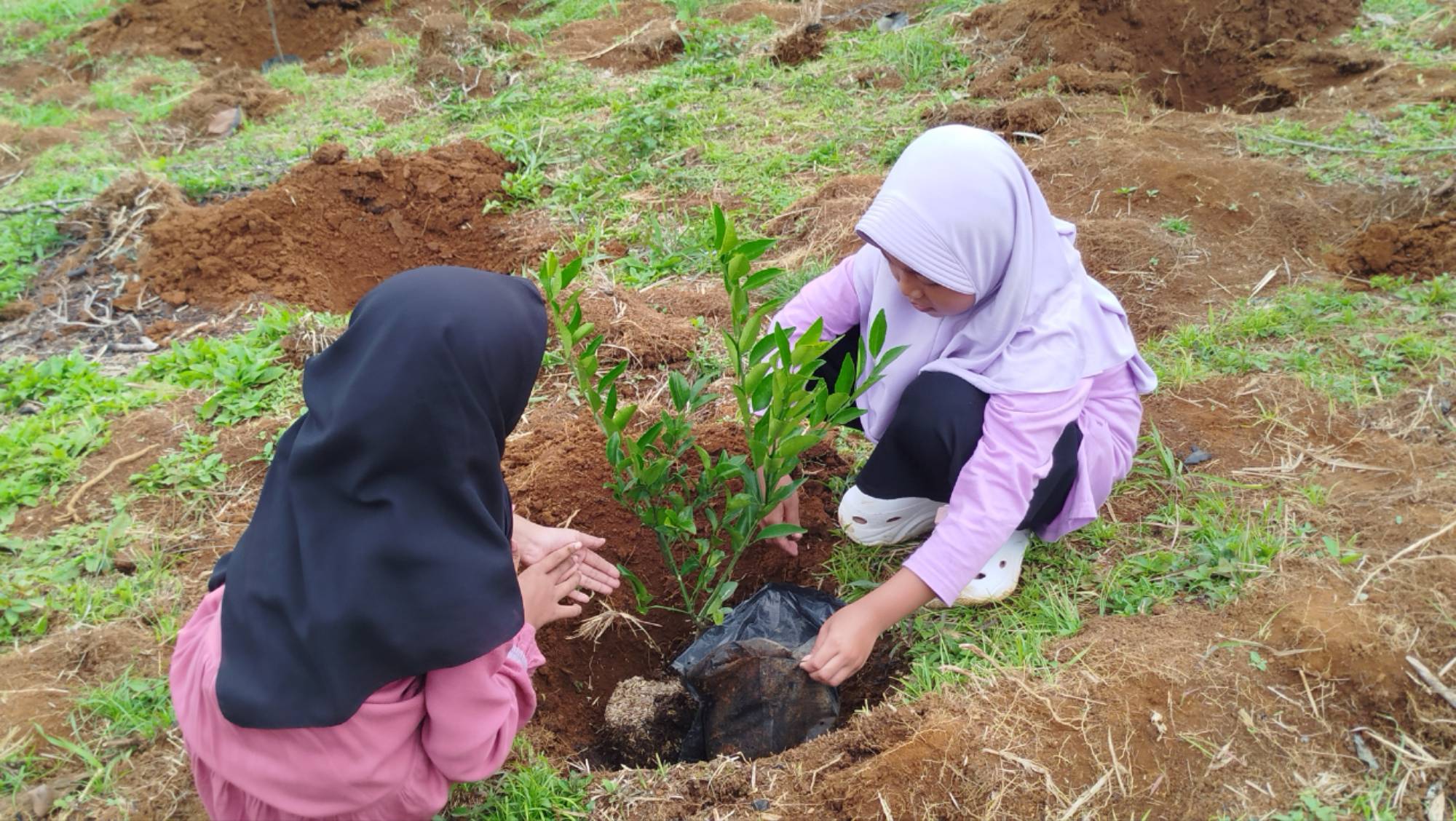 Teks: Dua anak menanam bibit pohon produktif di Kampung Neglasari, Desa Sukadana, Kecamatan Campaka, Cianjur.
