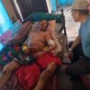 Empat Petani di Pagelaran Diserang Babi Hutan 