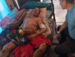 Empat Petani di Pagelaran Diserang Babi Hutan 