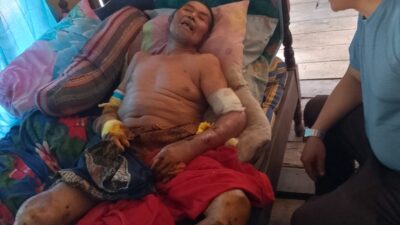 Empat Petani di Pagelaran Diserang Babi Hutan 
