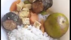 Menu MBG dikeluhkan Warga Sukaraharja Cibeber, Ikan Bau Hingga Sayur Belum Matang 