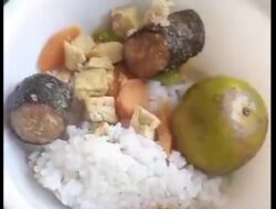 Menu MBG dikeluhkan Warga Sukaraharja Cibeber, Ikan Bau Hingga Sayur Belum Matang 
