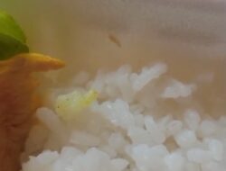 Geger, Menu MBG di Sukaraharja Cibeber Berbelatung