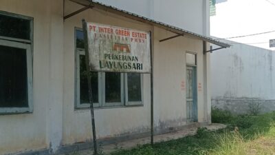 Perusahaan Perkebunan Kakao Tunggak Gaji Ratusan Pekerja