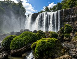Jejak Jalan Tanah Menuju Kenangan di Curug Dadali.