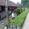 Guru SDN Sarogol Kenalkan Edukasi Pertanian Sejak Dini.