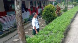 Guru SDN Sarogol Kenalkan Edukasi Pertanian Sejak Dini.