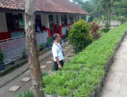 Guru SDN Sarogol Kenalkan Edukasi Pertanian Sejak Dini.