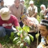 Ketua DPRD Cianjur Dukung Eksistensi Para Petani Kopi di Panen Raya