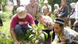 Ketua DPRD Cianjur Dukung Eksistensi Para Petani Kopi di Panen Raya
