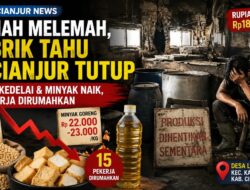 Dampak Rupiah Anjlok, Pengusaha Tahu di Cianjur Tak Mampu Bertahan