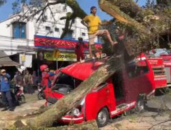 Pohon Tumbang di Jalur Bandung-Cianjur Timpa Tiga Kendaraan, Empat Orang Luka Ringan