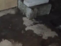 Warga Cibeber Keluhkan Dugaan Pencemaran Limbah Cair Dapur MBG