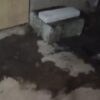 AMAR Minta IPAL SPPG Mayak Diperiksa Usai Dugaan Pencemaran Lingkungan