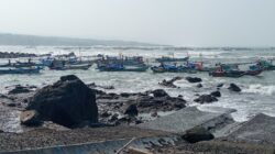 Benur Jayanti Diekspor Juragan ke Vietnam?