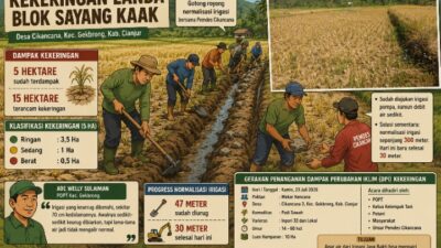Kekeringan Landa 5 Hektare Sawah di Cikancana, Petani Gotong Royong Selamatkan Irigasi
