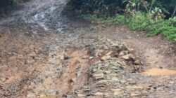 Jalan Kabupaten Rusak Parah, Warga Jayagiri Keluhkan Akses Penghubung Antar Kecamatan