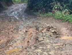 Jalan Kabupaten Rusak Parah, Warga Jayagiri Keluhkan Akses Penghubung Antar Kecamatan