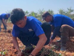 Program Ketahanan Pangan Lapas Cianjur Bekali Warga Binaan dengan Keterampilan Produktif