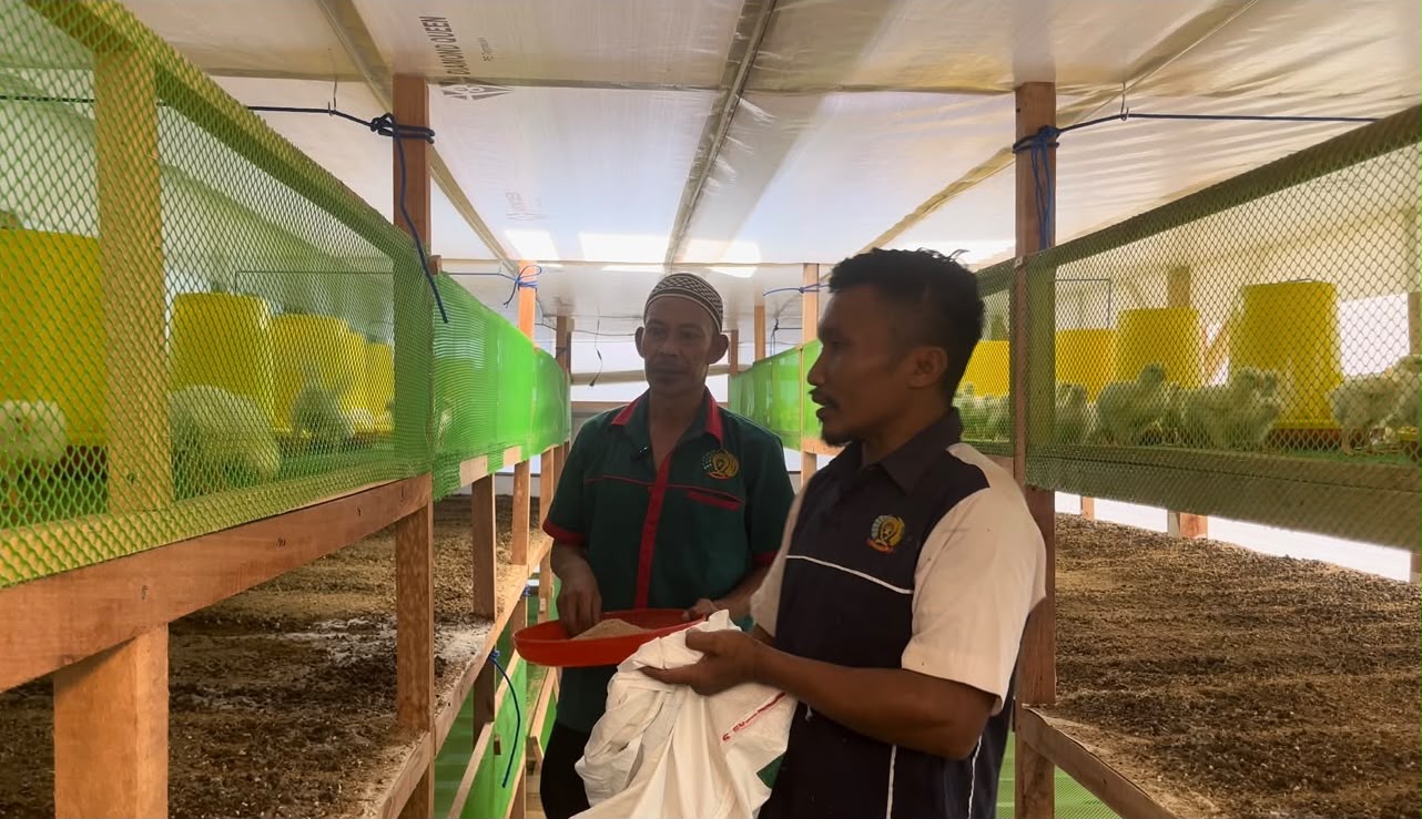 Teks: Warga binaan Lapas Cianjur mengikuti program ketahanan pangan melalui pertanian dan peternakan.
