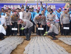 Kejar Swasembada, Wakapolri Tanam Bawang Putih di Cianjur Sambil Beri Bantuan Warga