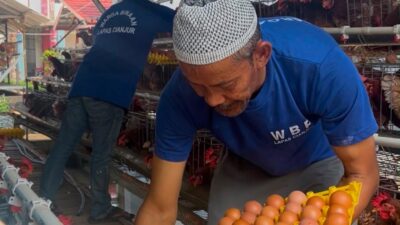 Hasil Peternakan Warga Binaan, Lapas Cianjur Pasok 3.000 Butir Telur ke Lapas Sukabumi