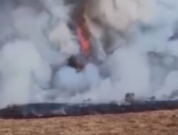 Kebakaran Melanda Alun-alun Suryakencana Gunung Gede, Api Padam Setelah 3 Jam