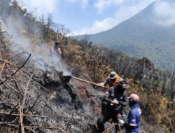 Medan Terjal dan Sulit Air, Satgas Karhutla Polres Cianjur Padamkan Bara di Gede Pangrango