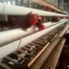 Bumdes Mekarjaya Mulai Usaha Ternak Ayam Petelur, Produksi Capai 30–40 Kg per Hari