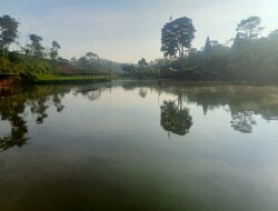 Lomba Mancing HUT RI ke-81 Digelar di Situ Siluman, BUMDes Mekarjaya Siapkan 250 Kg Ikan