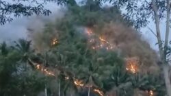 Bukit Picung di Cibeber Terbakar, Warga Khawatir Api Merembet ke Permukiman