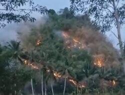 Bukit Picung di Cibeber Terbakar, Warga Khawatir Api Merembet ke Permukiman
