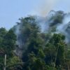 Gunung Bubut Terbakar, Medan Sulit dan Minim Air Hambat Pemadaman