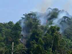 Gunung Bubut Terbakar, Medan Sulit dan Minim Air Hambat Pemadaman
