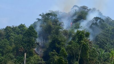 Gunung Bubut Terbakar, Medan Sulit dan Minim Air Hambat Pemadaman
