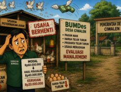 Modal Rp60 Juta Tinggal Rp40 Juta, Usaha Ayam BUMDes Ciwalen Gagal
