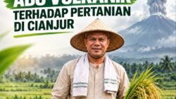 Sebaran Abu Vulkanik Ancam Lahan Pertanian, DTPHP Cianjur Lakukan Mitigasi