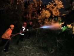 Kebakaran Lahan di Cilaku Capai 15 Hektare, Api Dekati Permukiman Warga