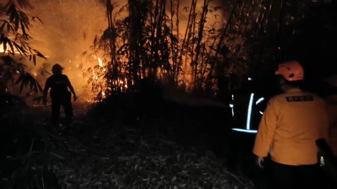Teks: Petugas damkar memadamkan kebakaran lahan di Cilaku Cianjur yang membakar sekitar 15 hektare.